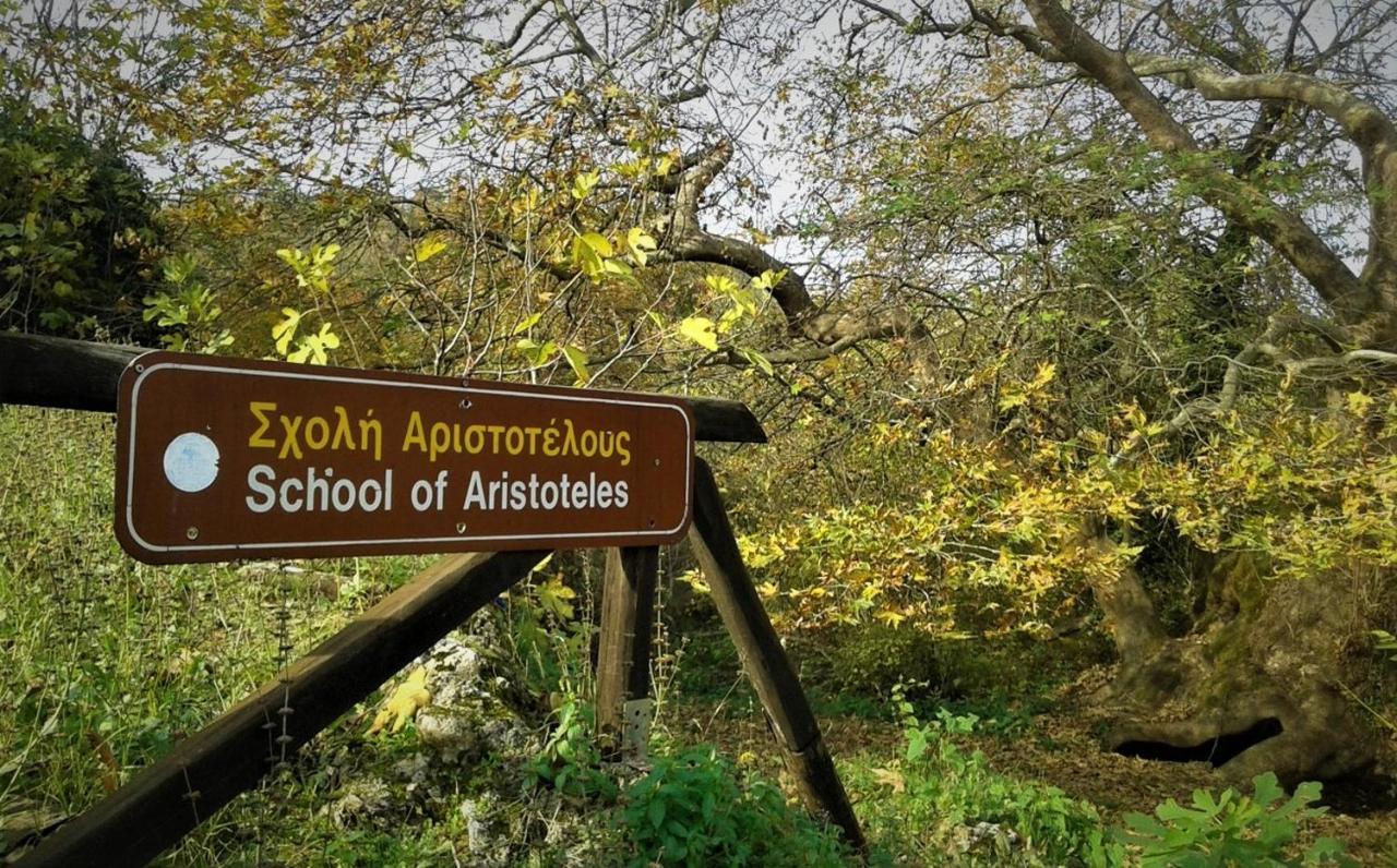 Mylos Arkochorion Екстериор снимка